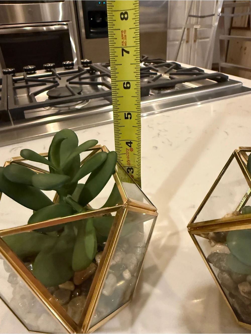 Target Threshold Artificial Indoor Succulent Plant in Brass/Glass Terrarium